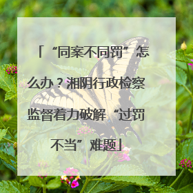 “同案不同罚”怎么办？湘阴行政检察监督着力破解“过罚不当”难题